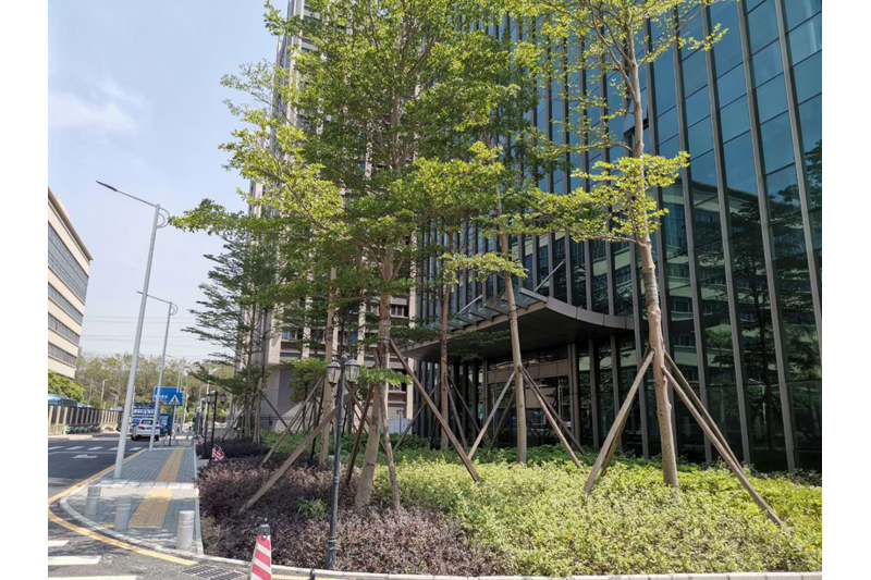 深圳龙岗现有新落成甲级研发写字楼出租，业主
